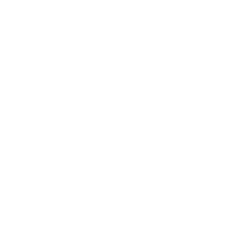 Texas Power Bars logo