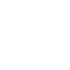 Notorious Lift logo