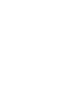 Strong IV logo