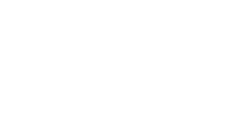 Valor and Venom logo