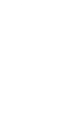 Strong IV logo