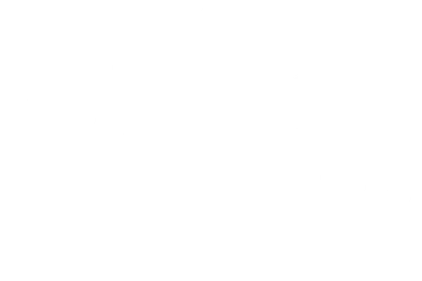 Bar Physical Therapy logo