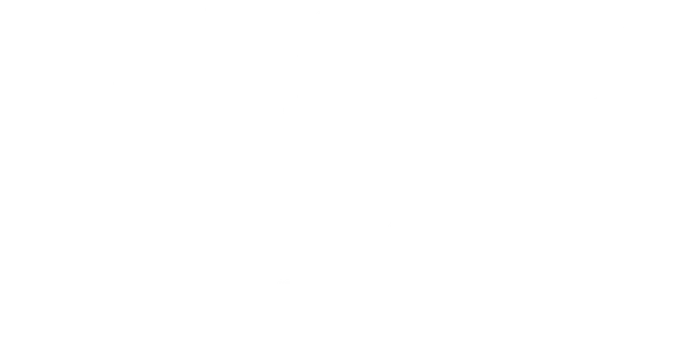 Valor and Venom logo